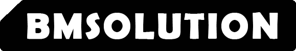 BM솔루션